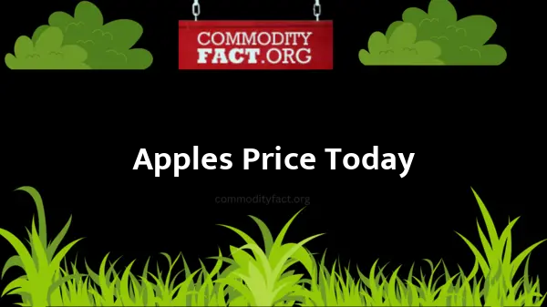 Apples wholesale Price