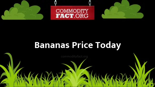 Bananas wholesale Price