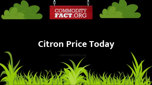 Citron wholesale Price