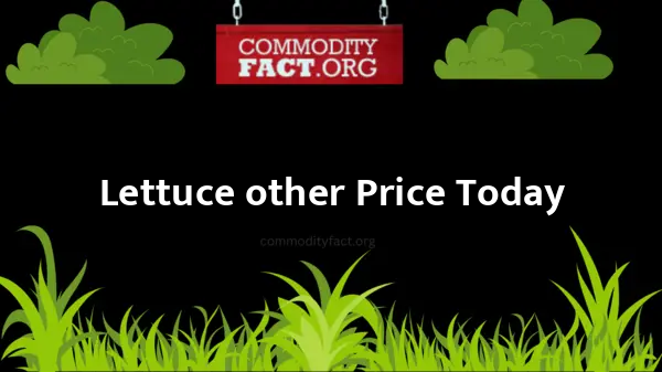 Lettuce-other wholesale Price